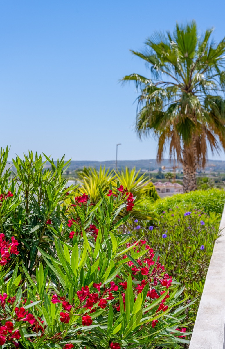 For sale - 3 Bedroom 2 Bathroom House - Detached Villa in San Fulgencio - La Marina  - Alicante