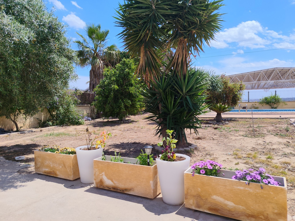 For sale - 6 Bedroom 4 Bathroom House - Detached Villa in Los Montesinos - Los Montesinos Centro  - Alicante