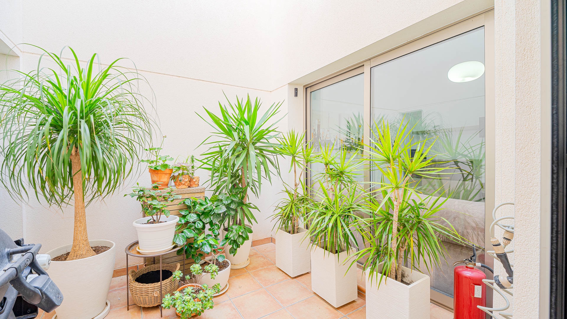 For sale - 3 Bedroom 3 Bathroom Townhouse in Punta Prima - Punta Prima  - Alicante