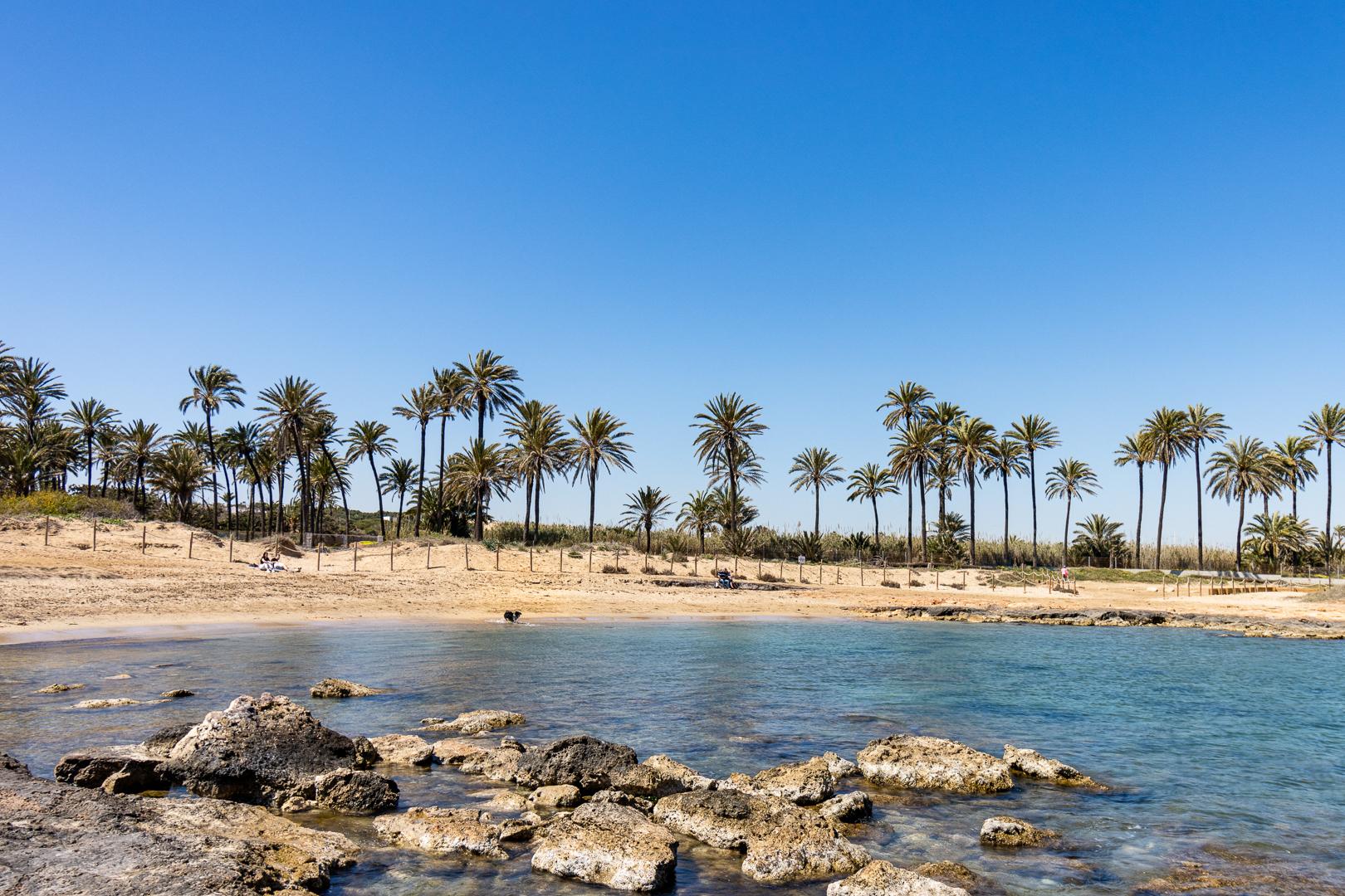 For sale - 2 Bedroom 1 Bathroom Ground Floor apartment in Torrevieja - playa de los naufragos  - Alicante