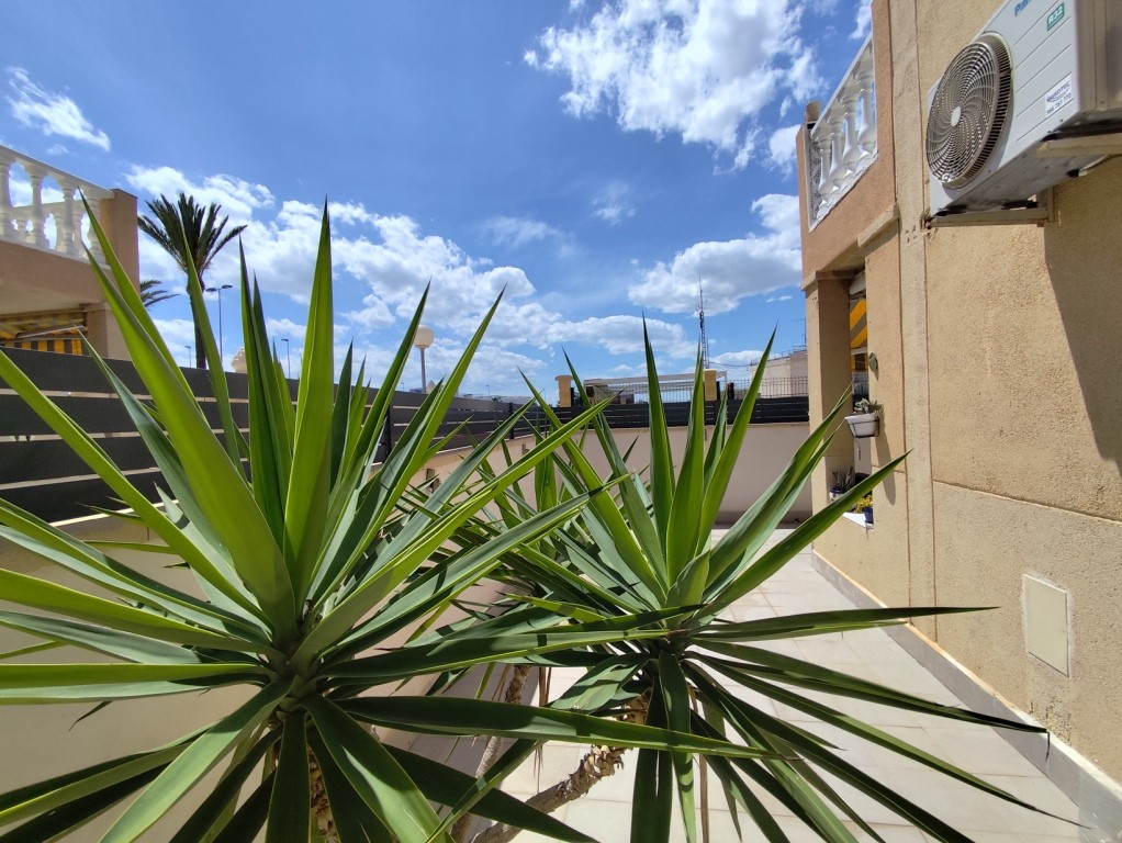 For sale - 2 Bedroom 1 Bathroom Ground floor Apartment in Torrevieja -  - Alicante