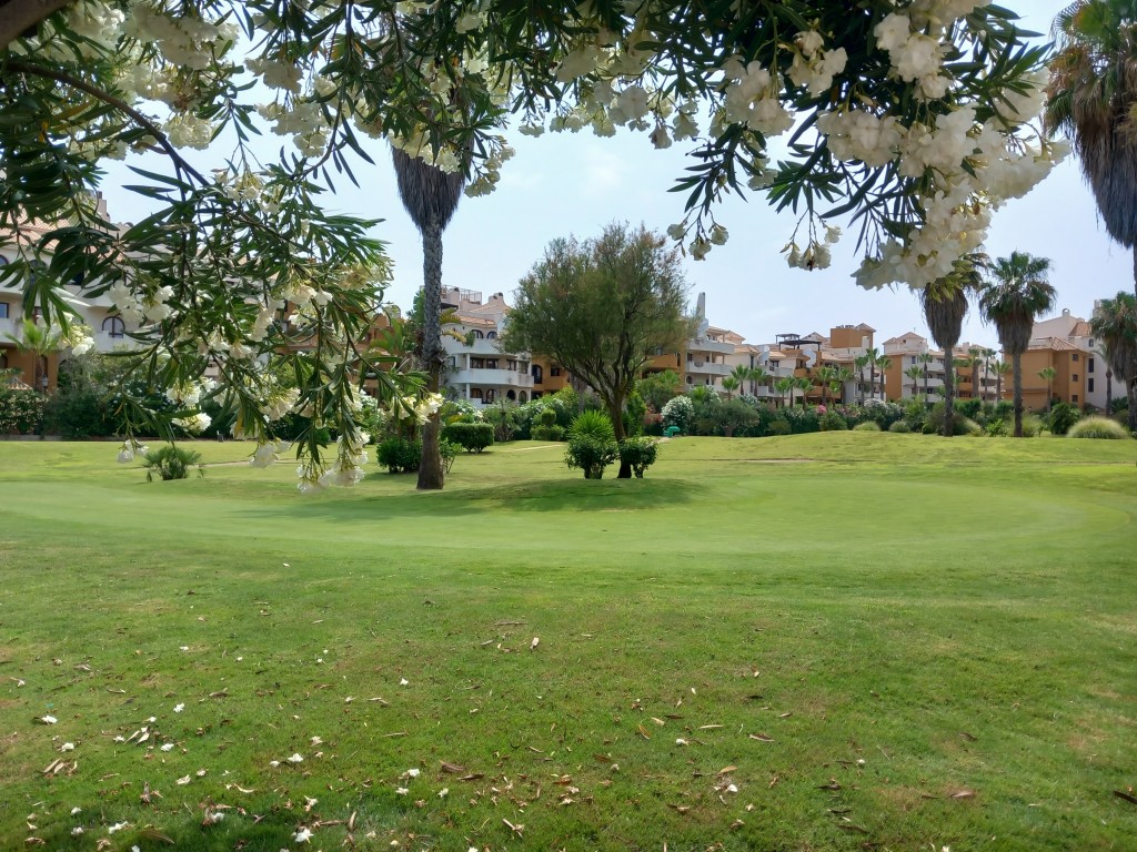 For sale - 2 Bedroom 1 Bathroom Penthouse in Punta Prima -  - Alicante