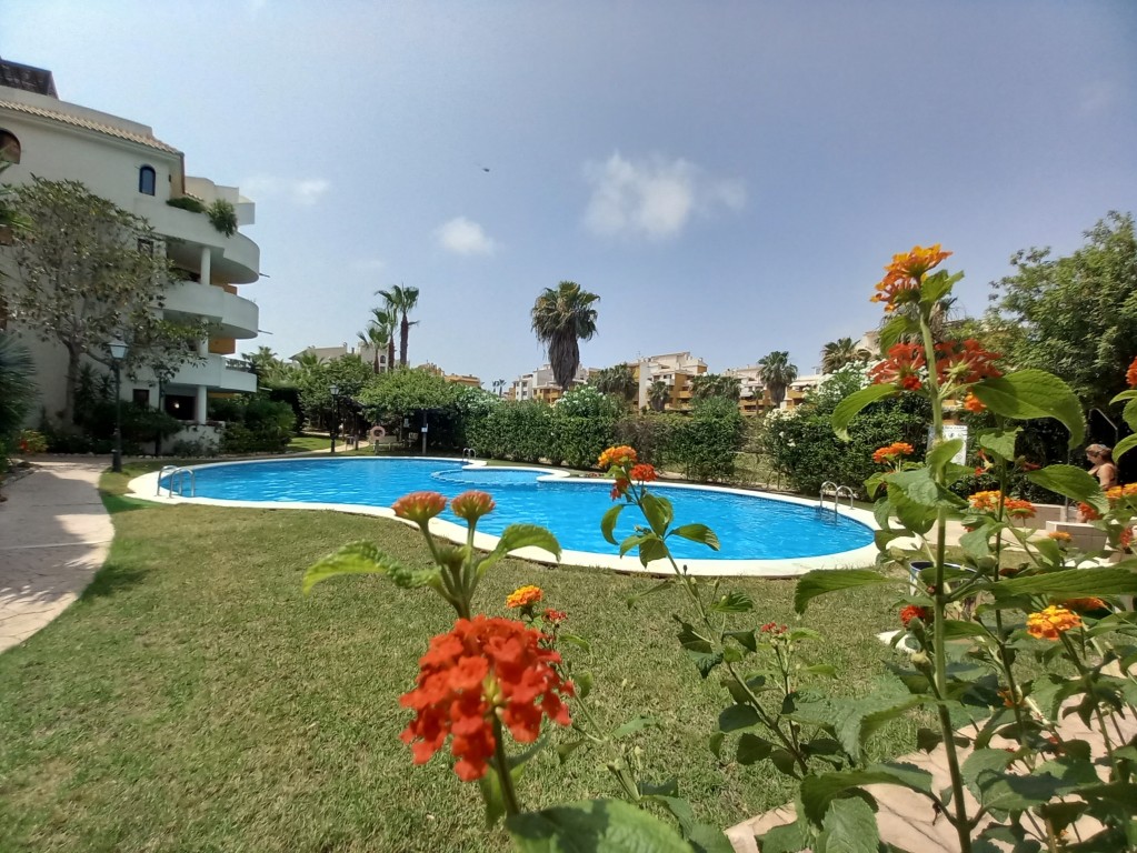 For sale - 2 Bedroom 1 Bathroom Penthouse in Punta Prima -  - Alicante
