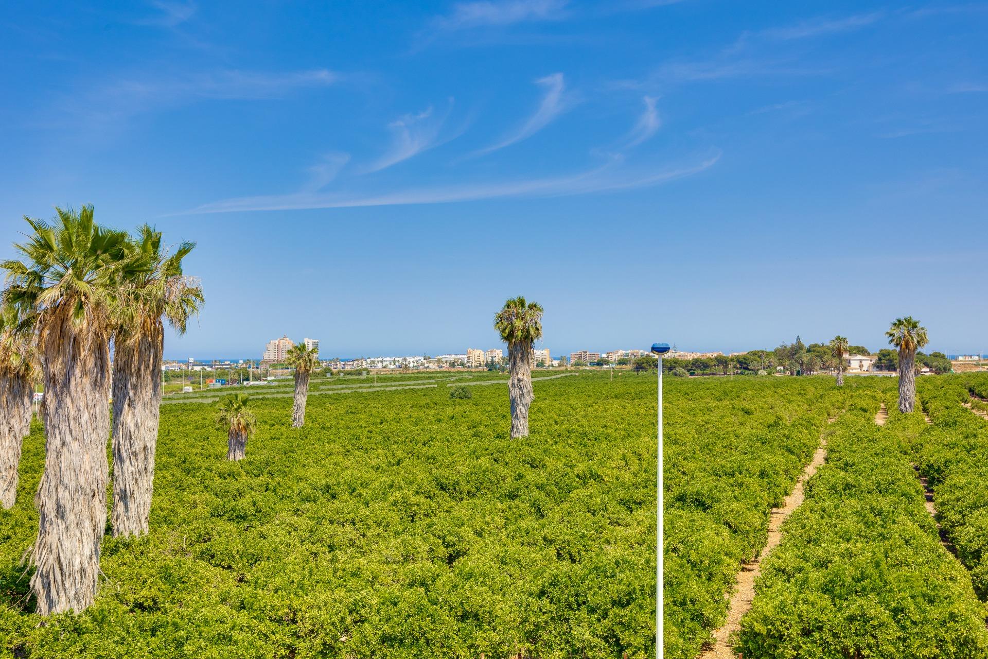 For sale - 3 Bedroom 3 Bathroom Town House in Torrevieja - Los Balcones  - Alicante