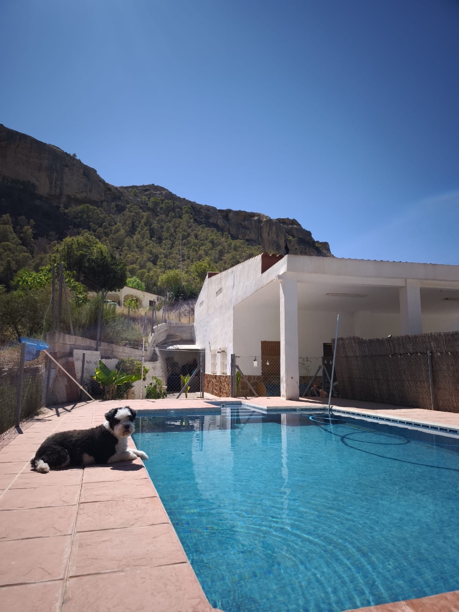 For sale - 4 Bedroom 1 Bathroom Country House in Crevillent - Inland  - Alicante