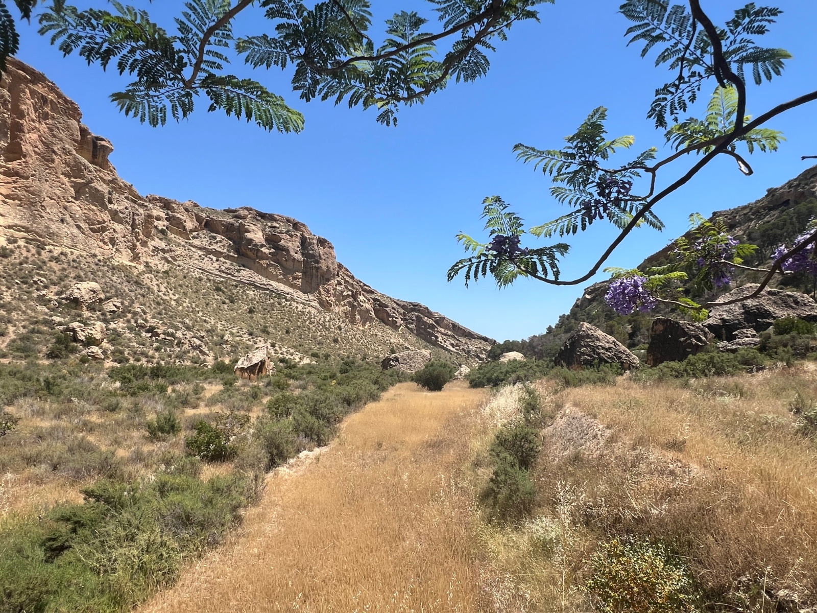 For sale - 4 Bedroom 1 Bathroom Country House in Crevillent - Inland  - Alicante