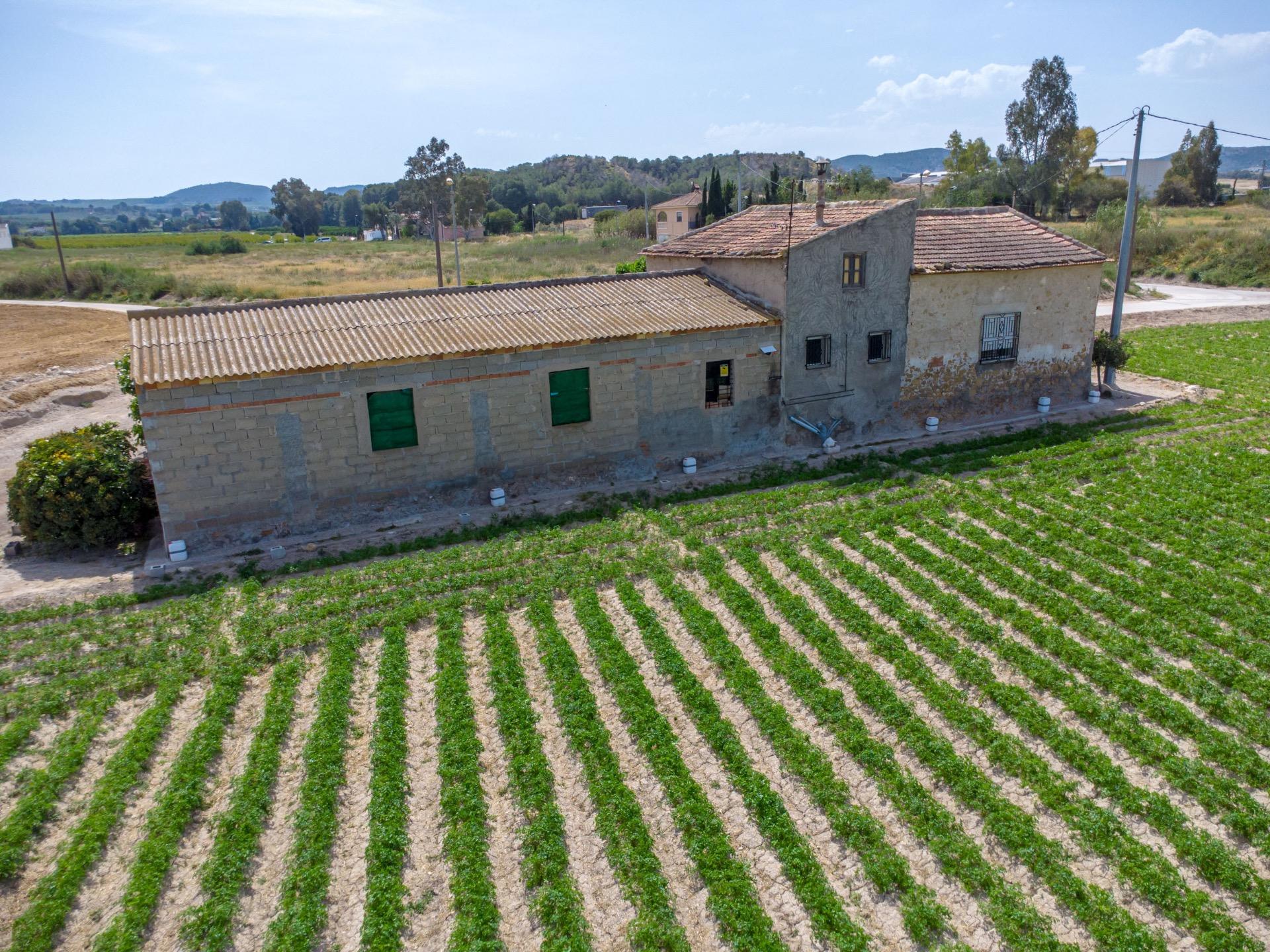 For sale - 3 Bedroom 1 Bathroom Country House in Torremendo - Desamparados-hurchillo-torremendo  - Alicante