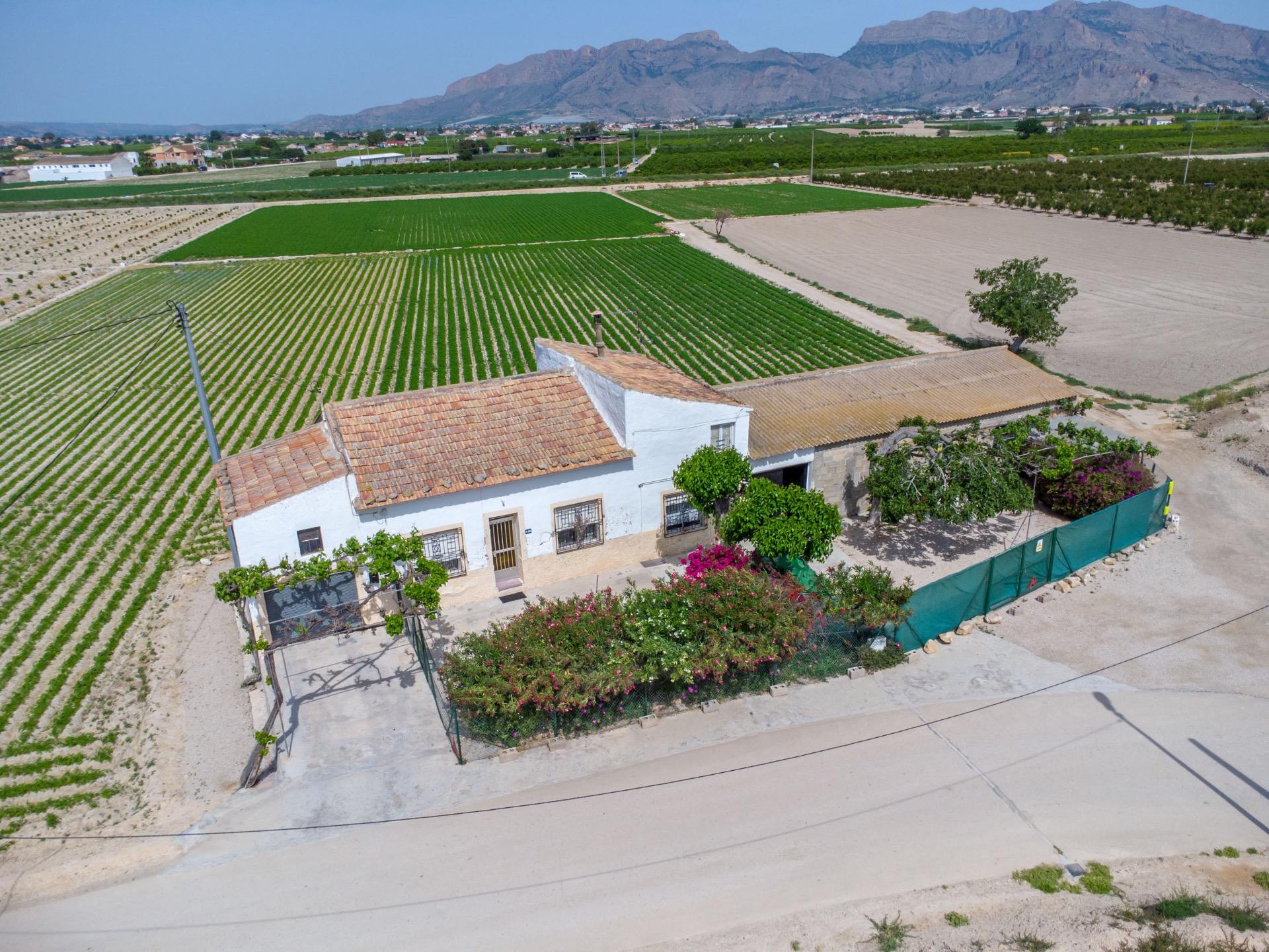 For sale - 3 Bedroom 1 Bathroom Country House in Torremendo - Desamparados-hurchillo-torremendo  - Alicante