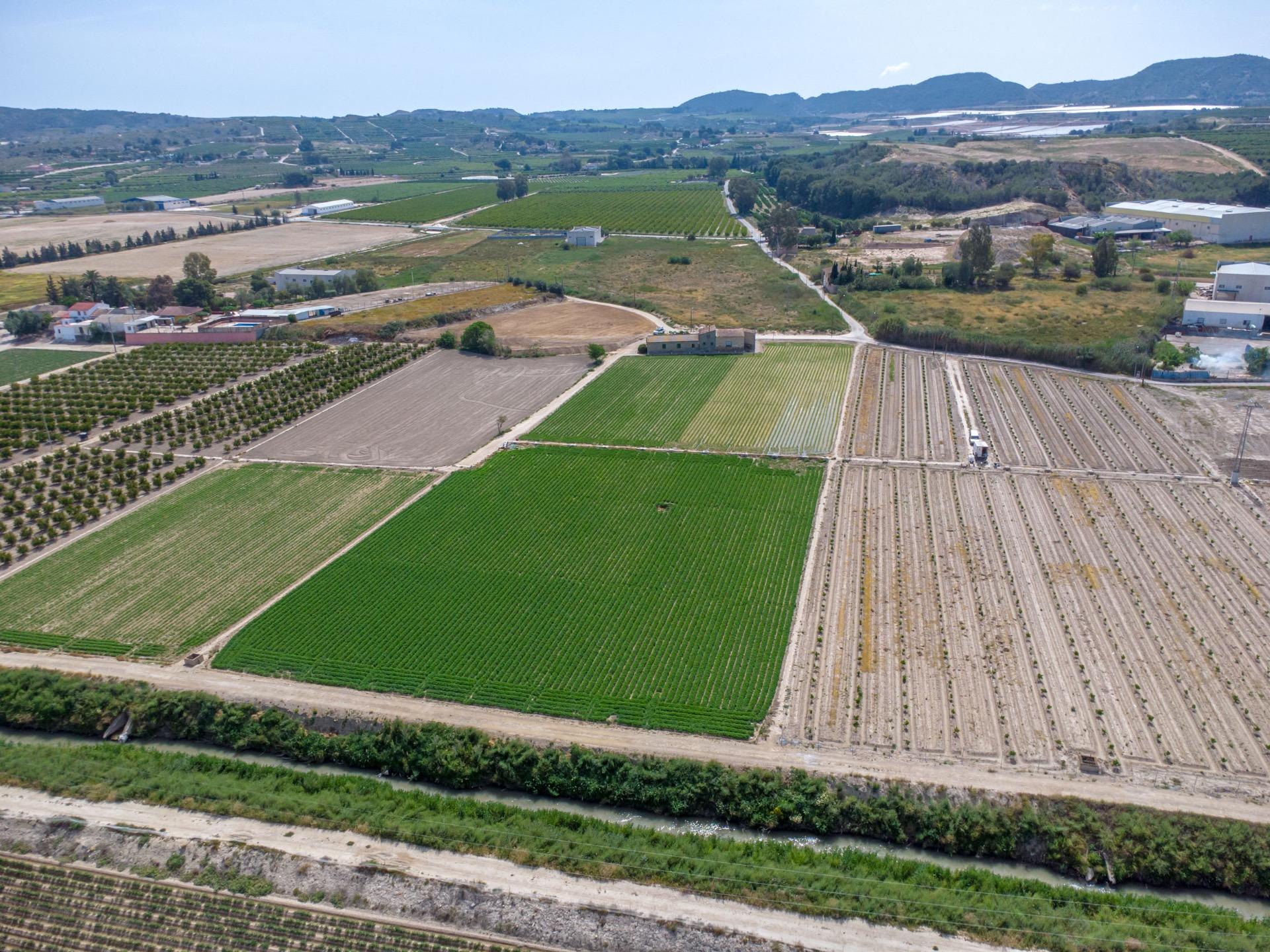 For sale - 3 Bedroom 1 Bathroom Country House in Torremendo - Desamparados-hurchillo-torremendo  - Alicante
