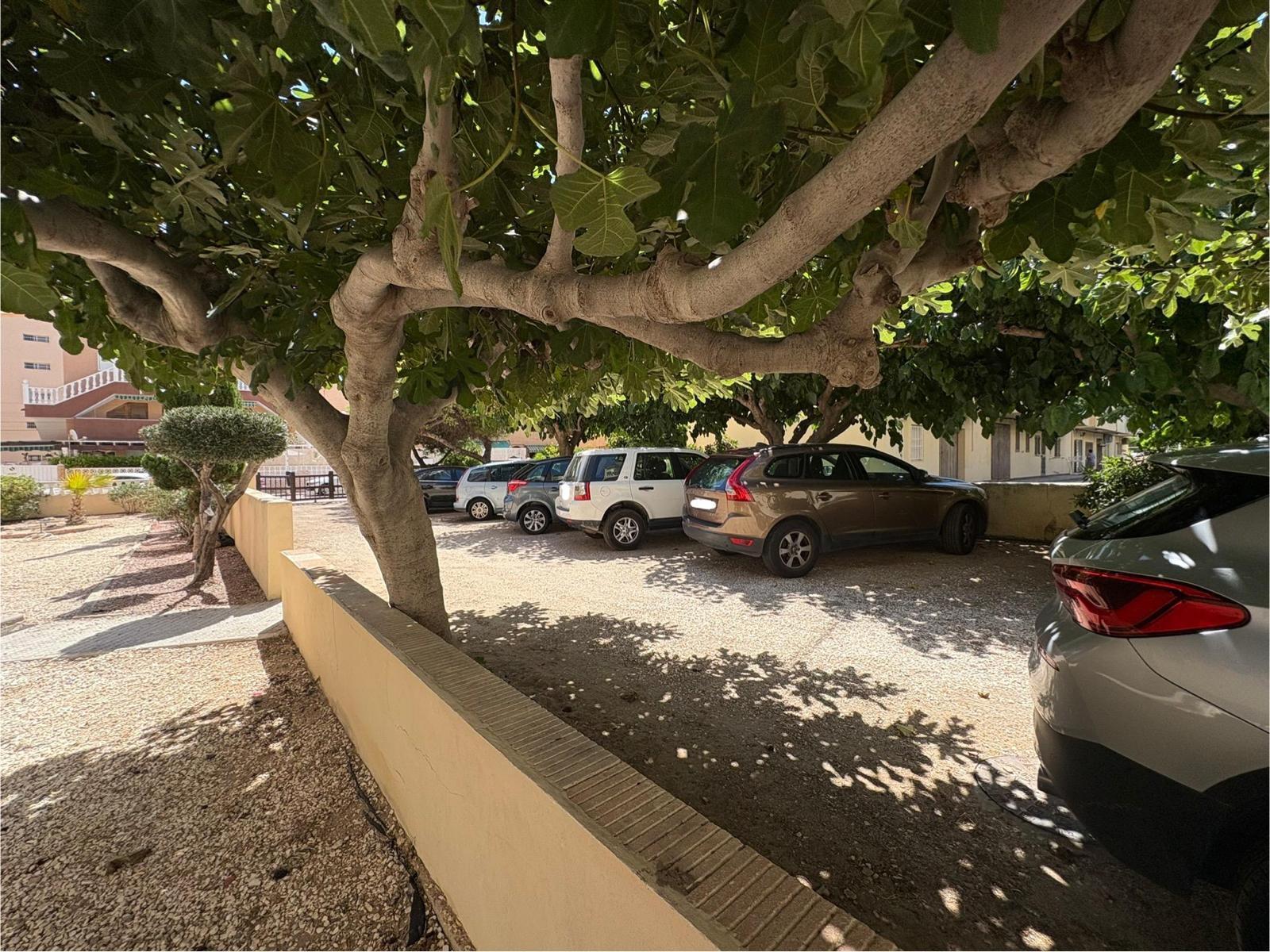 For sale - 2 Bedroom 1 Bathroom Apartment in Torrevieja - Costa Blanca  - Alicante