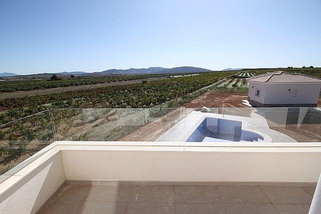 For sale - 4 Bedroom 3 Bathroom Villa in Pinoso - Camino Del Prado  - Alicante