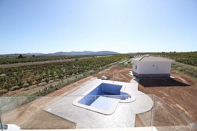 For sale - 4 Bedroom 3 Bathroom Villa in Pinoso - Camino Del Prado  - Alicante