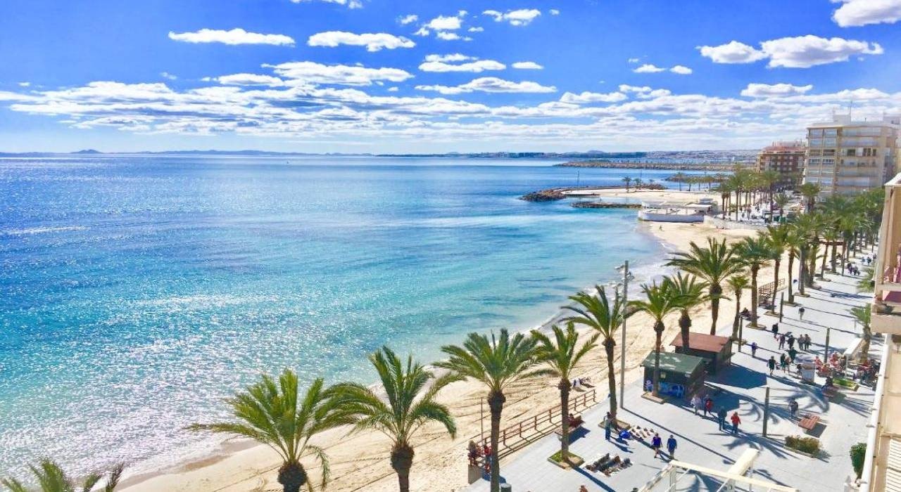 For sale - 3 Bedroom 2 Bathroom Villa in Torrevieja - Lago Jardín II  - Alicante