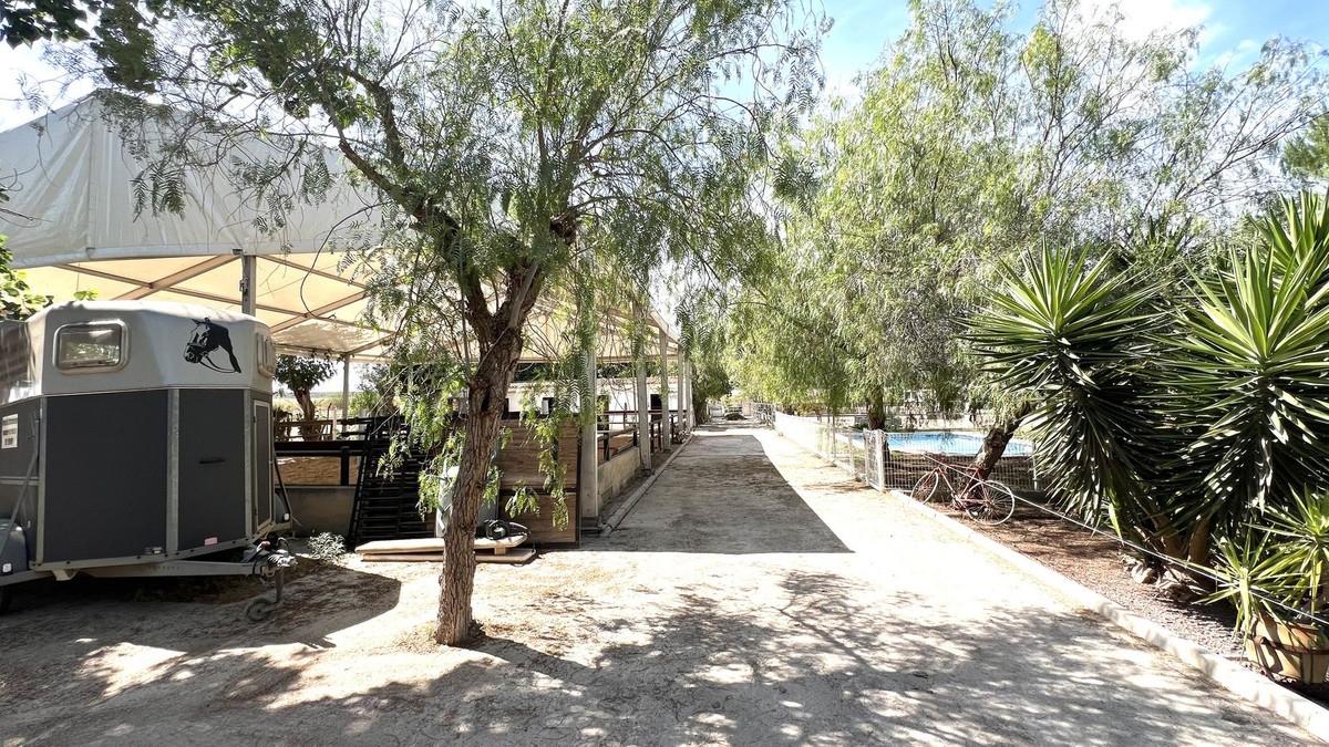 For sale - 3 Bedroom 2 Bathroom House - Townhouse in Orihuela - Orihuela Centro  - Alicante