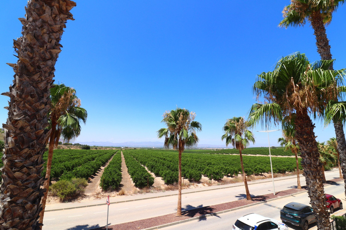 For sale - 3 Bedroom 2 Bathroom House - Semi-Detached House in Algorfa - La Finca Golf  - Alicante