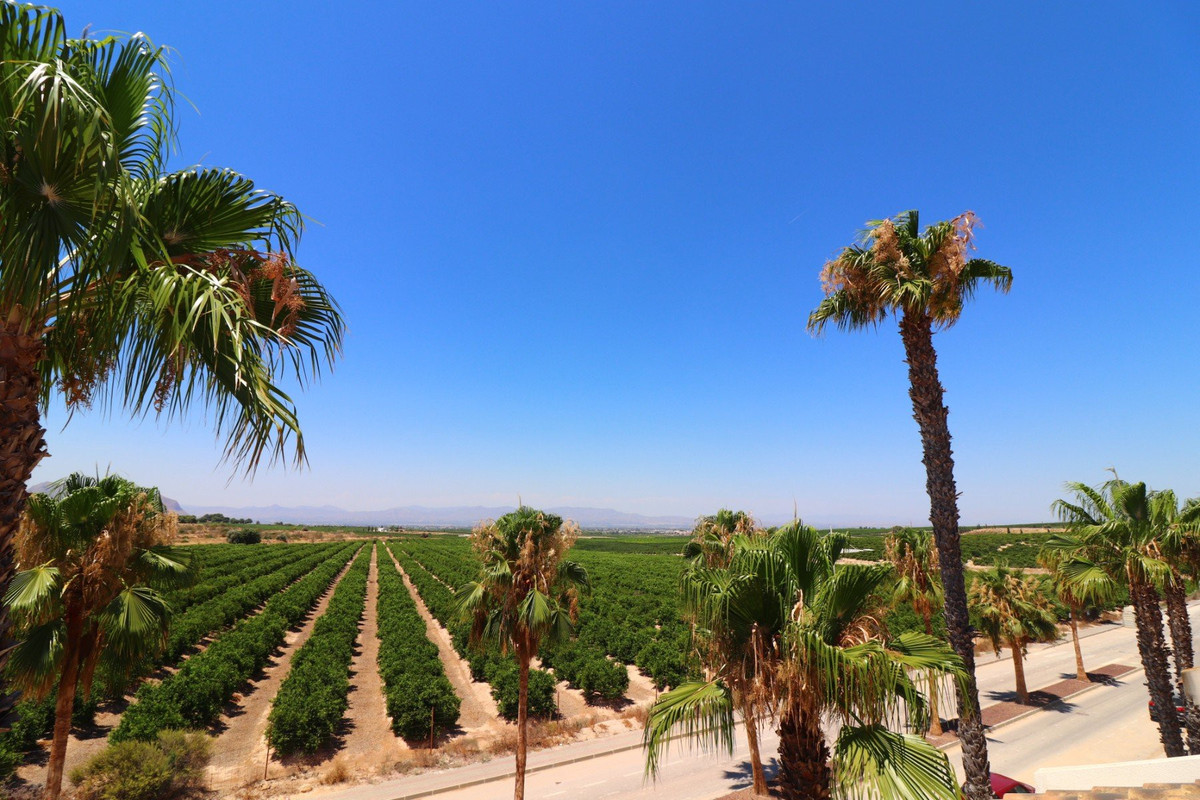For sale - 3 Bedroom 2 Bathroom House - Semi-Detached House in Algorfa - La Finca Golf  - Alicante