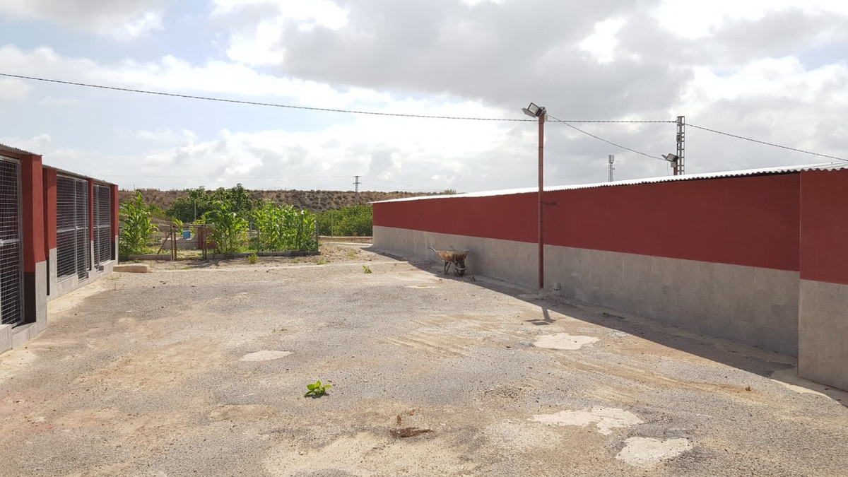 For sale - 2 Bedroom 2 Bathroom House - Finca - Cortijo in Los Montesinos - Los Montesinos Centro  - Alicante