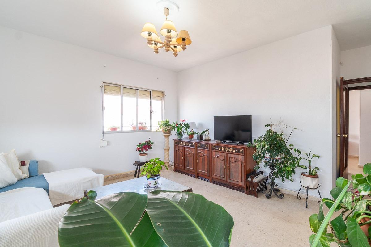 For sale - 3 Bedroom 1 Bathroom Flat in Torrevieja - Centro  - Alicante