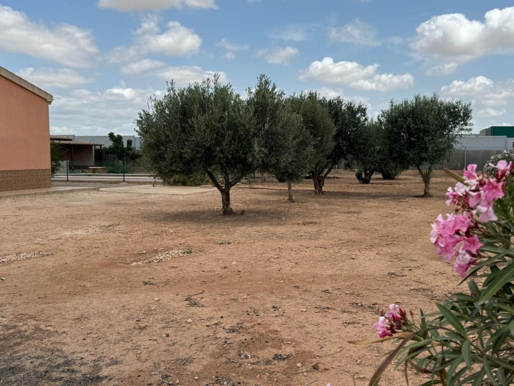 For sale - 4 Bedroom 3 Bathroom Town House in Fuente Alamo - Inland  - Murcia