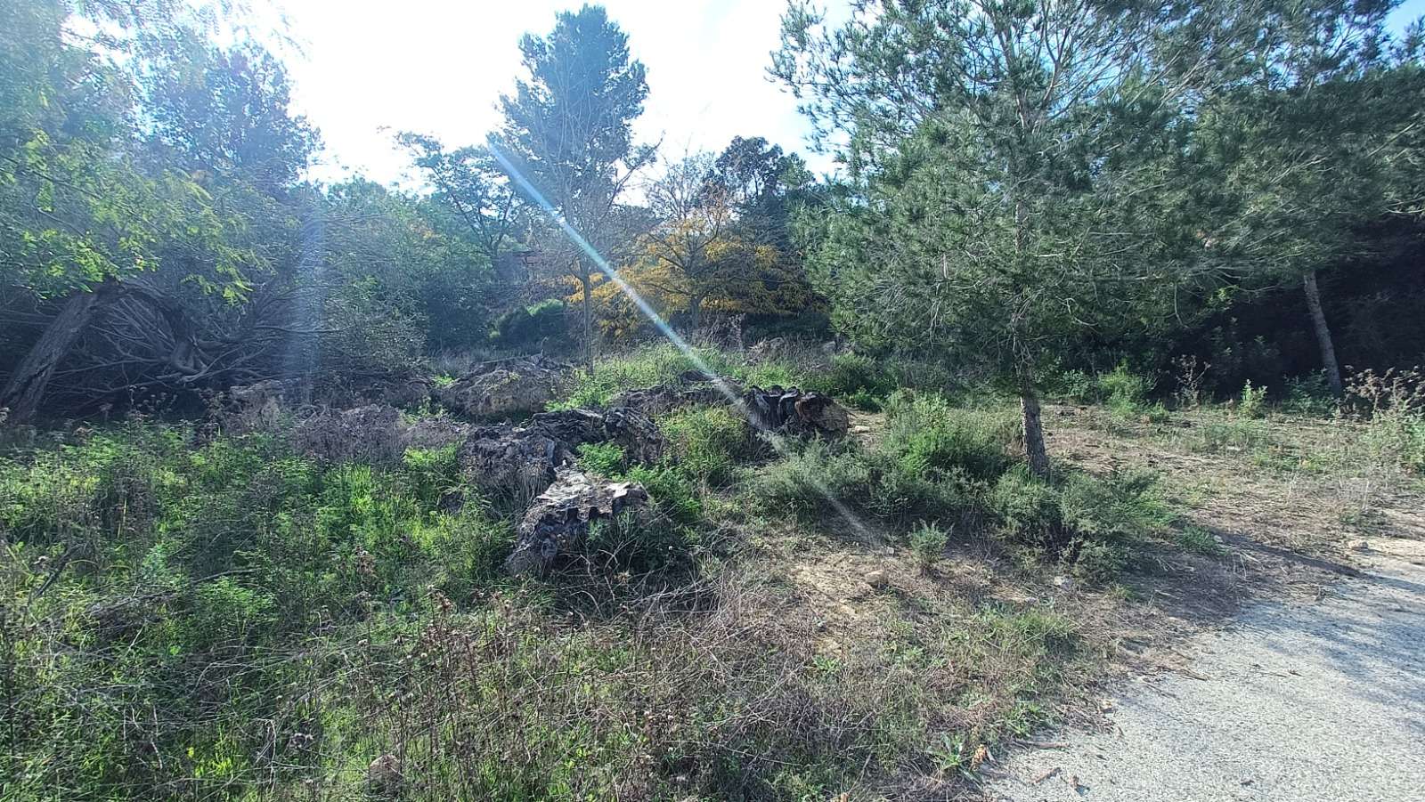 For sale - 3 Bedroom 2 Bathroom Finca in Gea Y Truyols - Inland  - Murcia