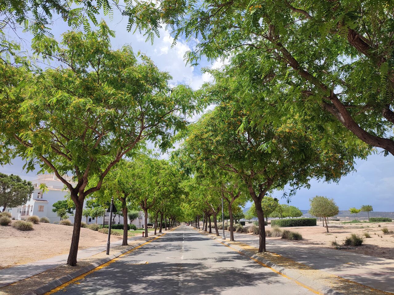 For sale - 2 Bedroom 1 Bathroom Apartment in Hacienda Riquelme Golf Resort - Inland  - Murcia