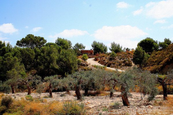 For sale - 3 Bedroom 2 Bathroom Finca in Gea Y Truyols - Sierra de Columbares Natural Park  - Murcia