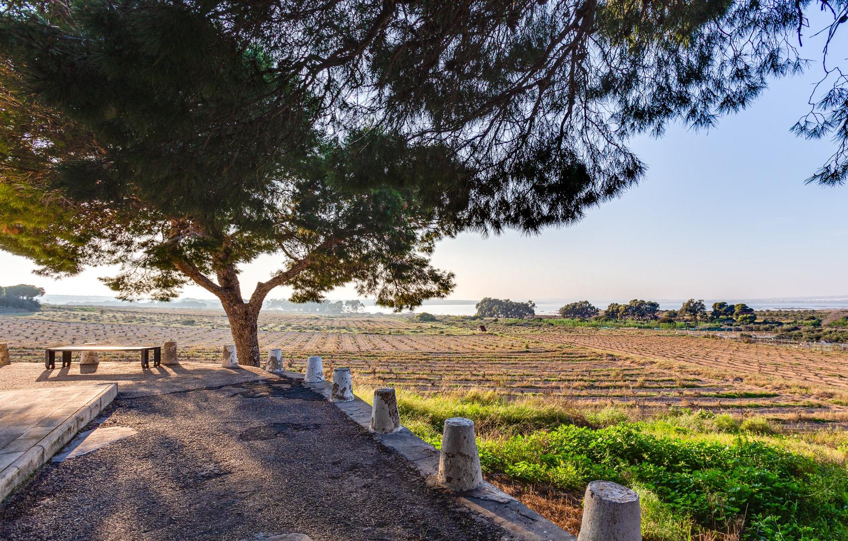 For sale - 2 Bedroom 1 Bathroom Bungalow in Torrevieja - La Siesta - El Salado - Torreta  - Alicante