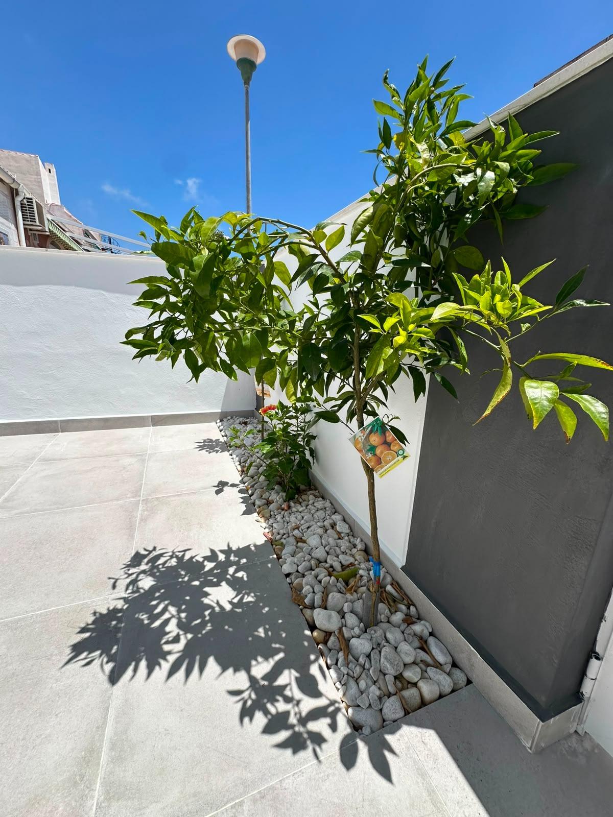 For sale - 2 Bedroom 1 Bathroom Bungalow in Torrevieja - La Siesta - El Salado - Torreta  - Alicante