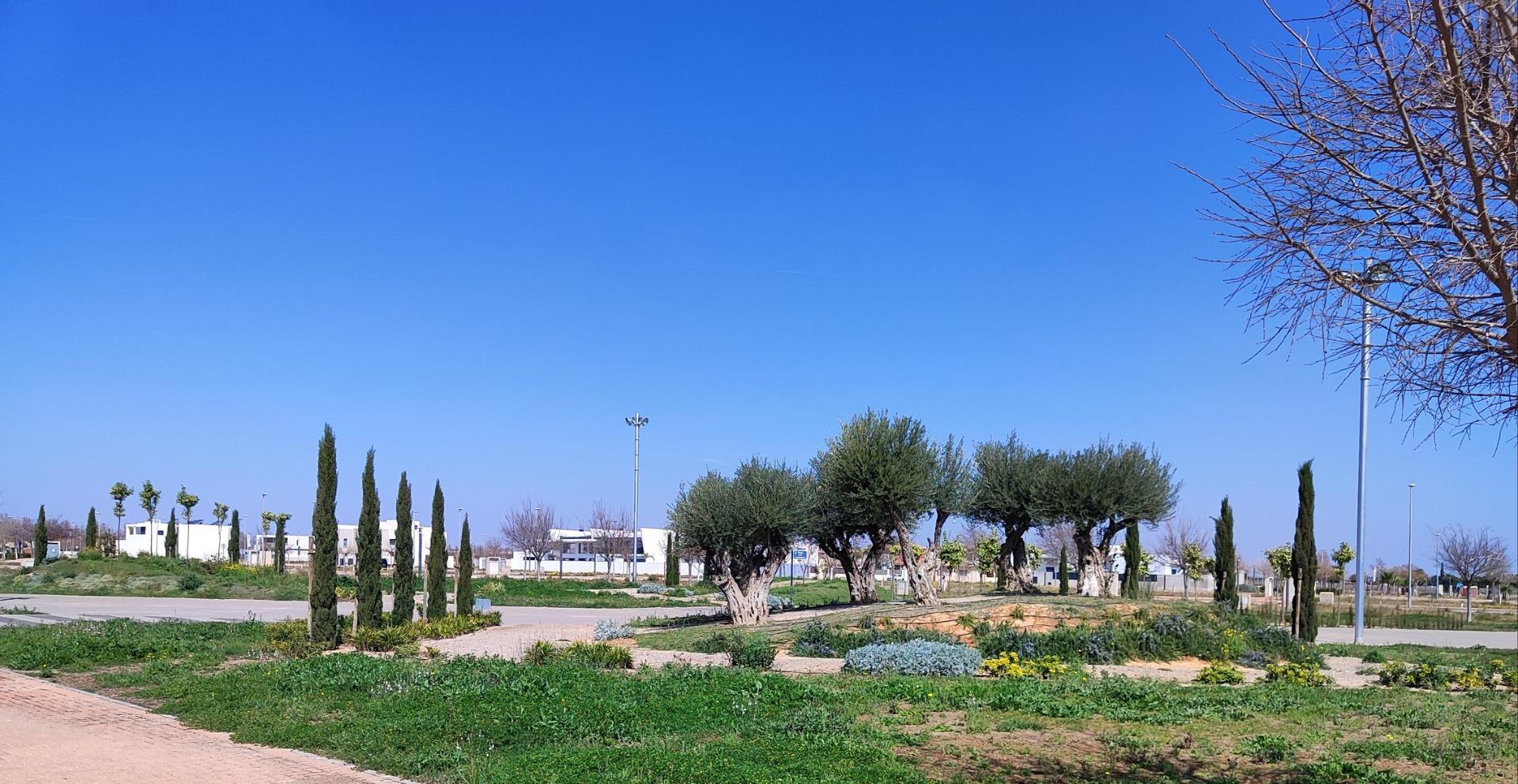 New Build - 3 Bedroom 2 Bathroom Penthouse in Torre Pacheco - Centro  - Murcia