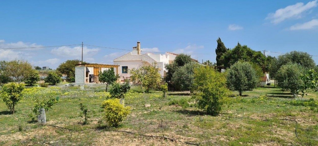 For sale - 2 Bedroom 2 Bathroom Village house in Los Montesinos - Los Montesinos  - Alicante