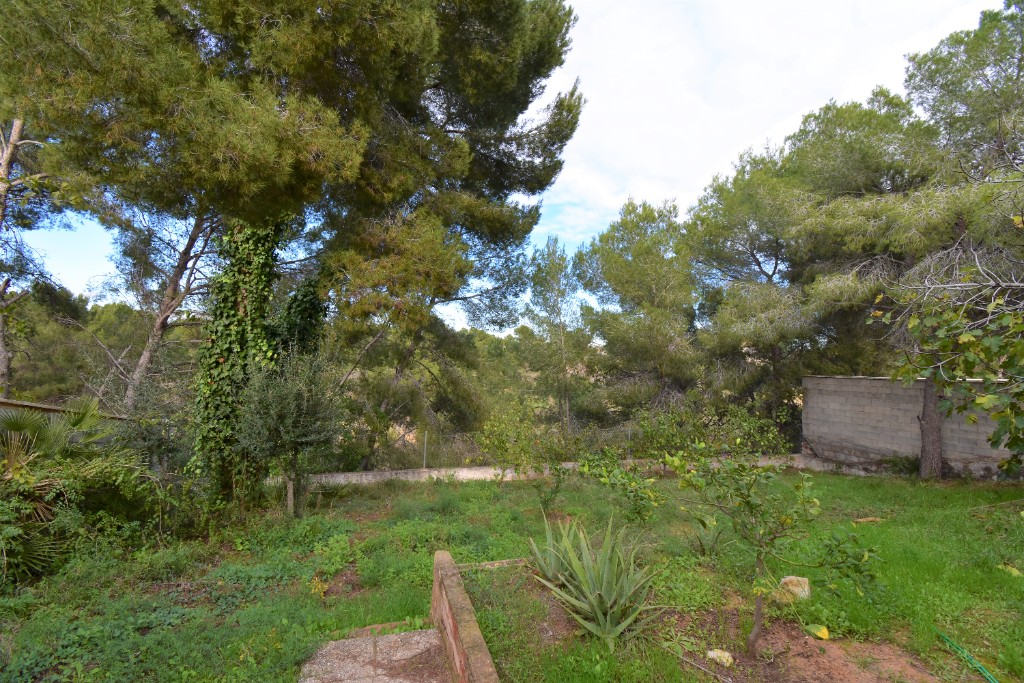 For sale - 4 Bedroom 2 Bathroom Villa in Pinar De Campoverde - Pinar De Campoverde  - Alicante