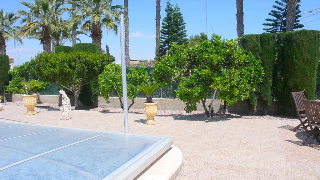 For sale - 3 Bedroom 3 Bathroom Village house in Alicante - Dolores  - Alicante