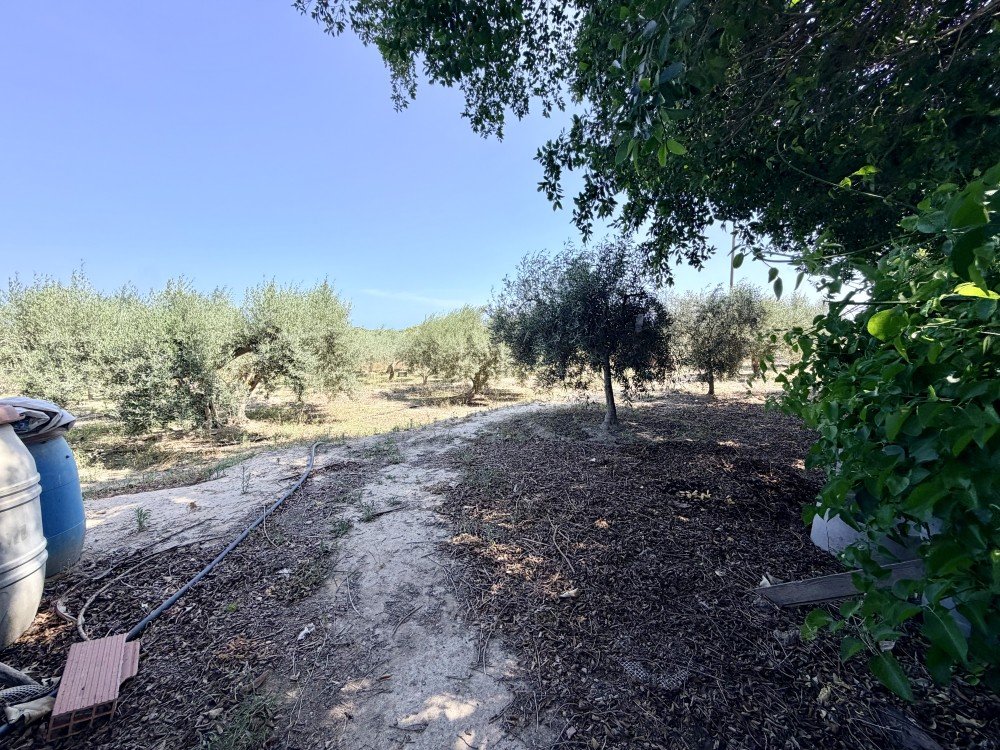 For sale - 5 Bedroom 1 Bathroom Country House in La Marina - Costa Blanca  - Alicante
