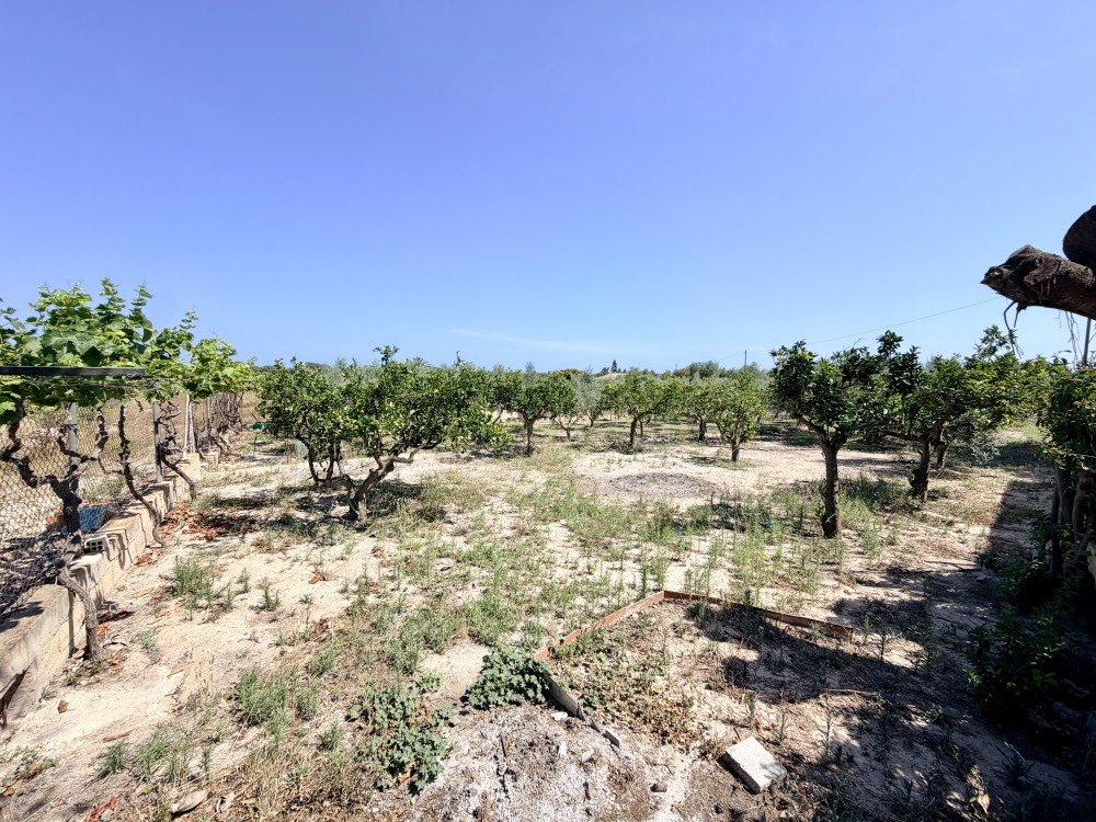 For sale - 5 Bedroom 1 Bathroom Country House in La Marina - Costa Blanca  - Alicante