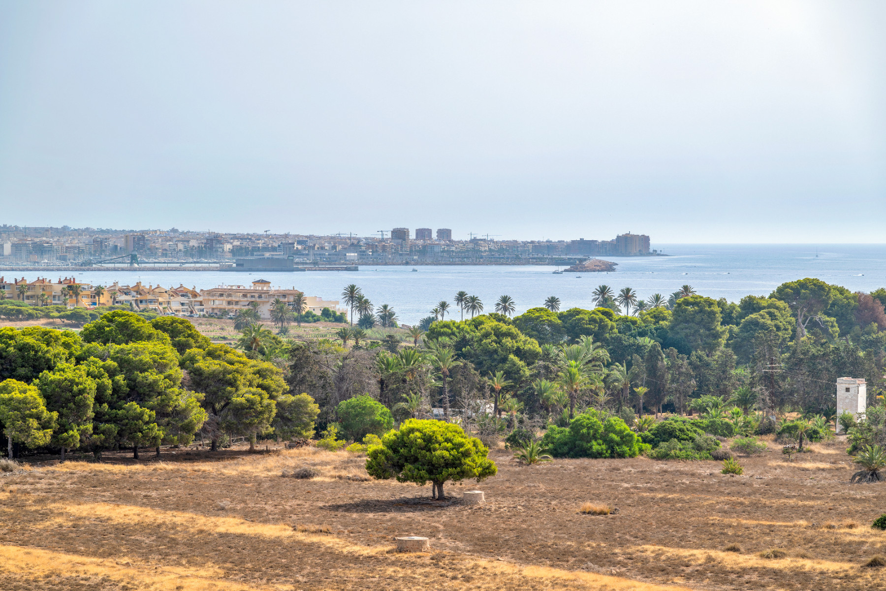 For sale - 2 Bedroom 2 Bathroom Apartment in Torrevieja - Costa Blanca  - Alicante