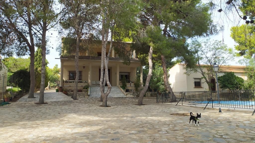 6 Bedroom 3 Bathroom Villa in Torrevieja