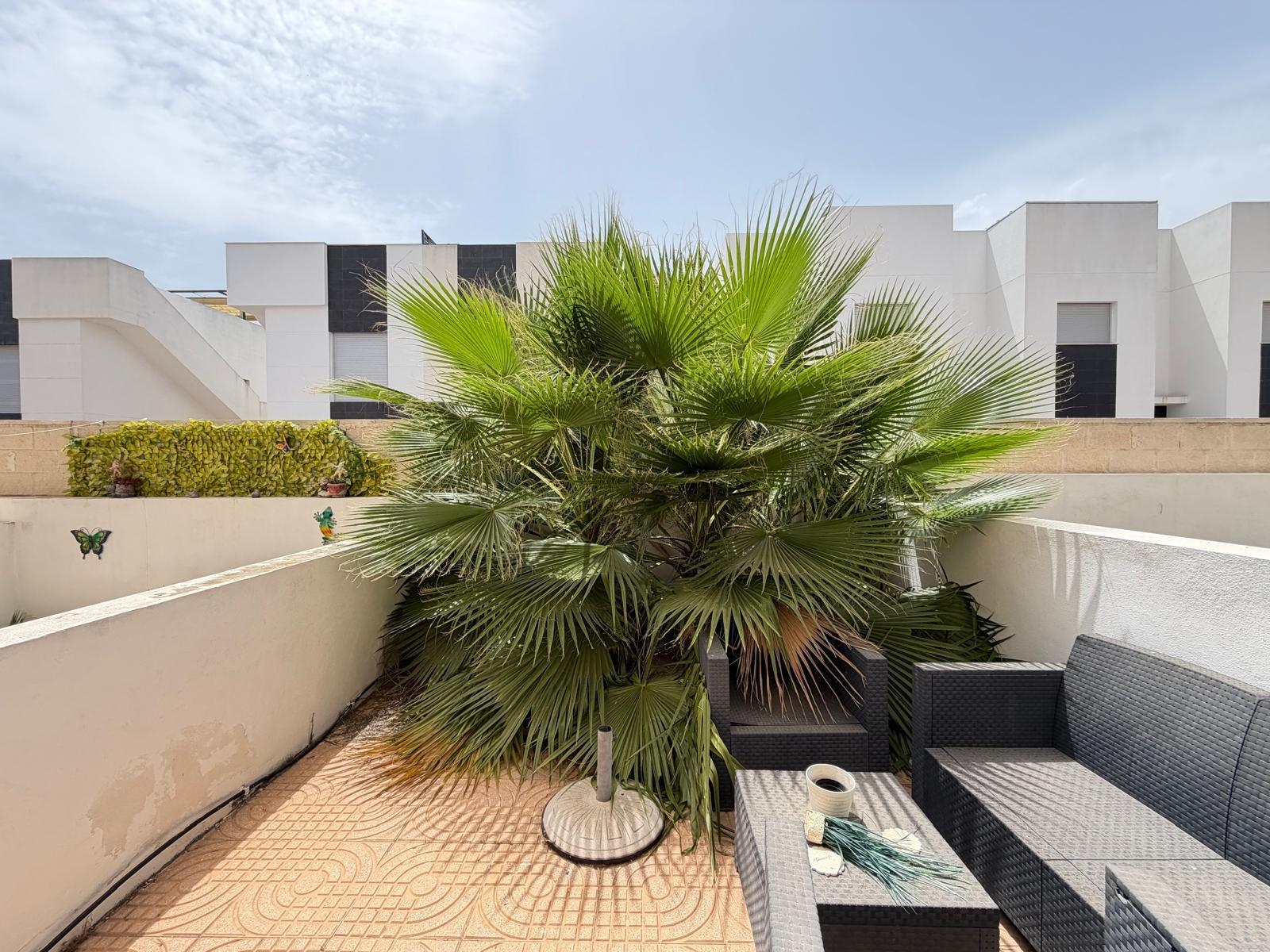 For sale - 2 Bedroom 1 Bathroom Town House in Ciudad Quesada - Lo Marabu  - Alicante