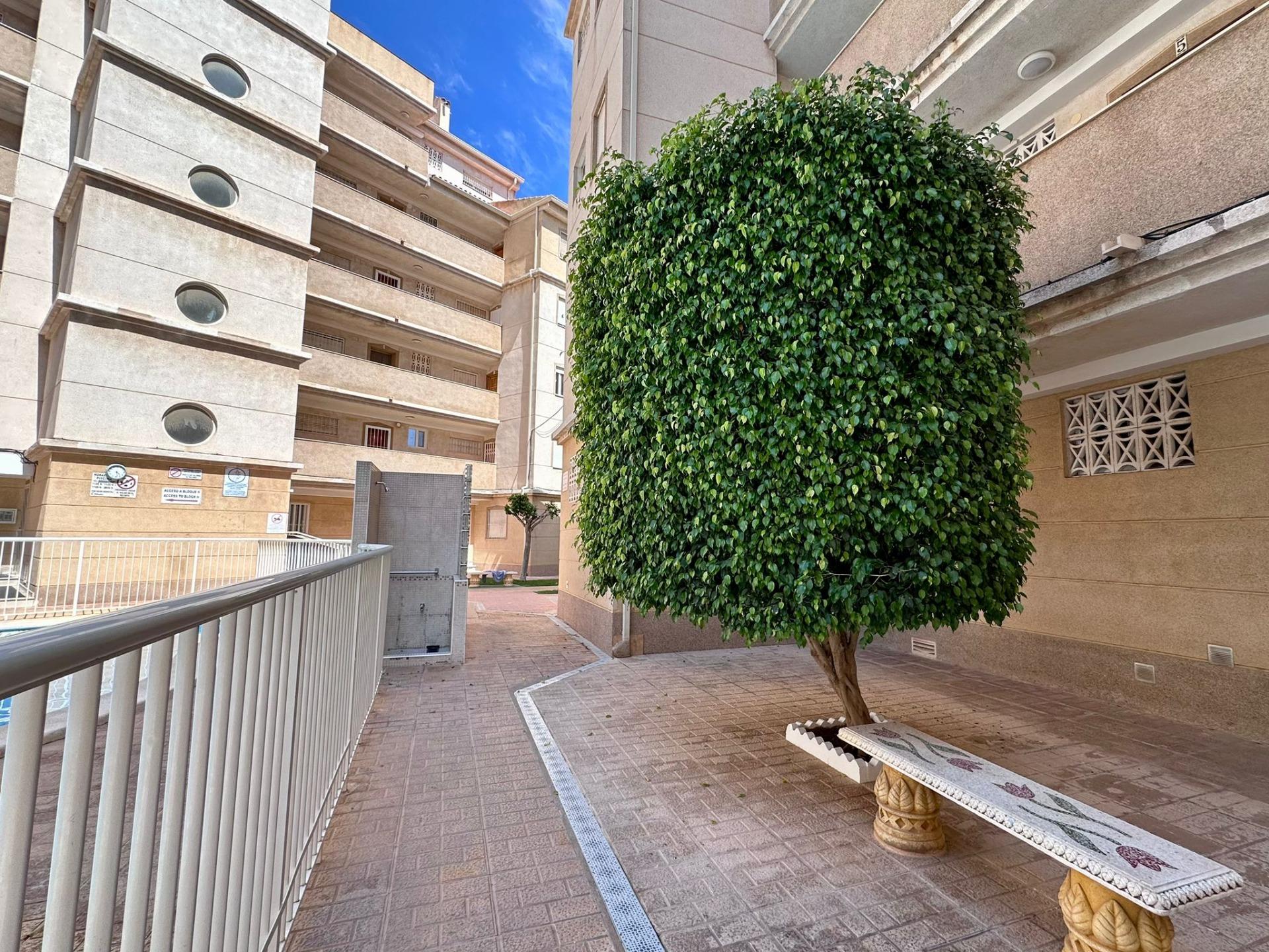 For sale - 2 Bedroom 1 Bathroom Apartment in Torrevieja - Habaneras  - Alicante