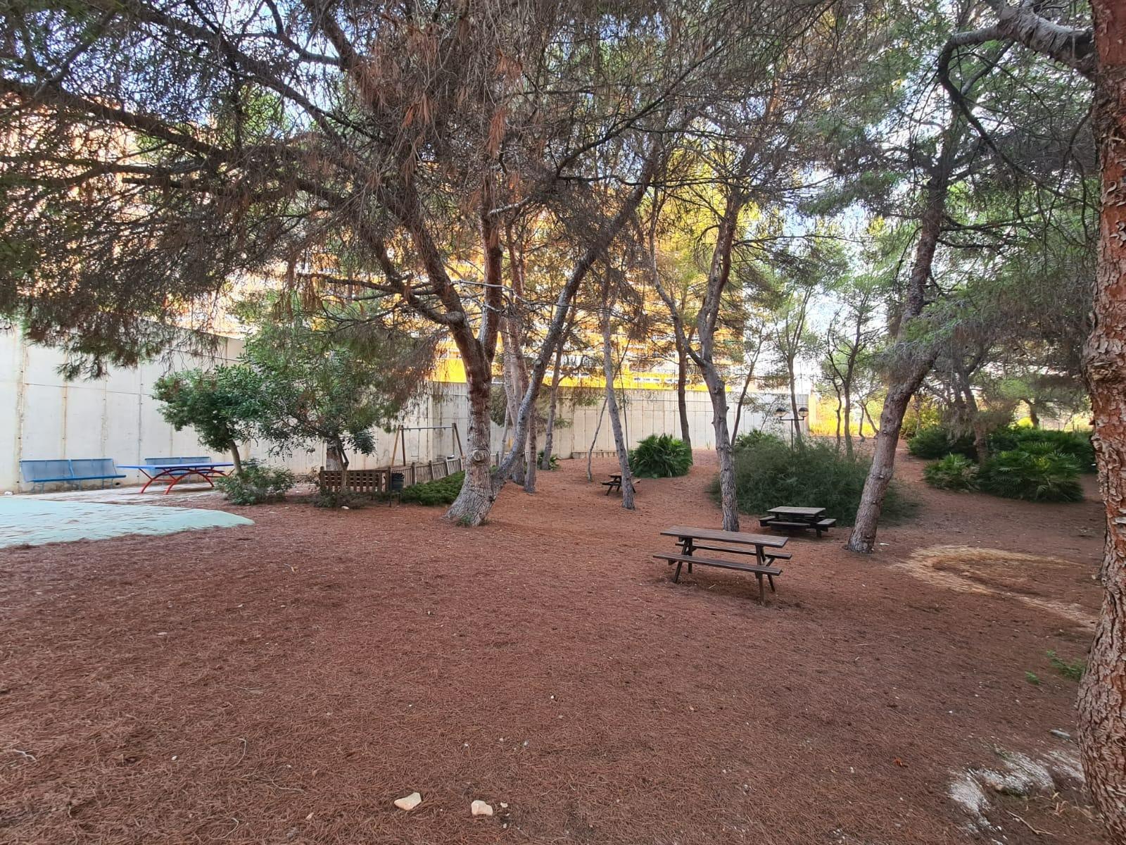For sale - 3 Bedroom 2 Bathroom Apartment in Cabo Roig - Campoamor  - Alicante