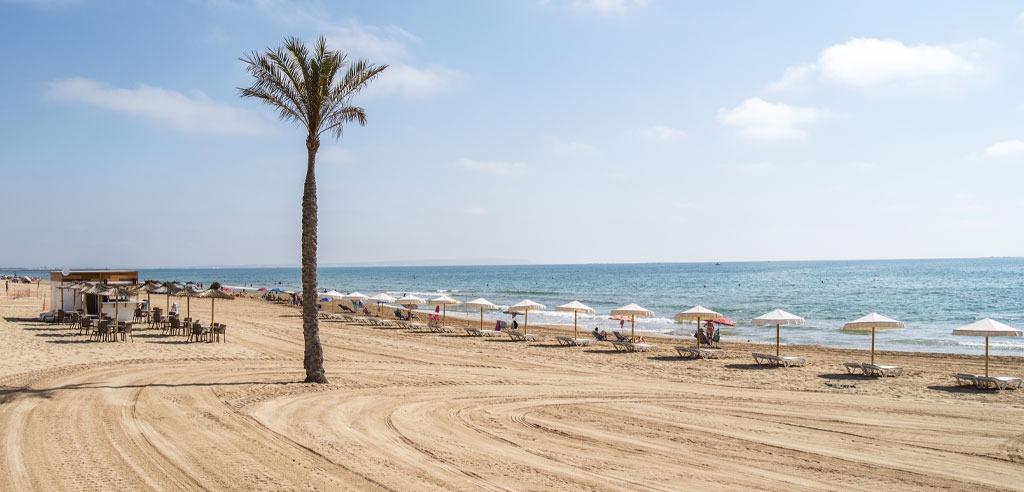 For sale - 3 Bedroom 2 Bathroom Penthouse in Guardamar del Segura - Pueblo  - Alicante