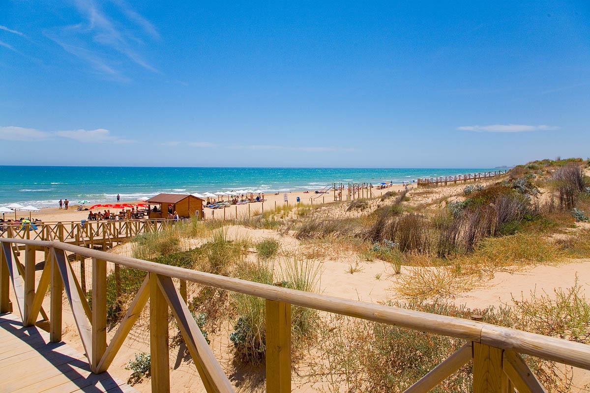 For sale - 3 Bedroom 2 Bathroom Penthouse in Guardamar del Segura - Pueblo  - Alicante