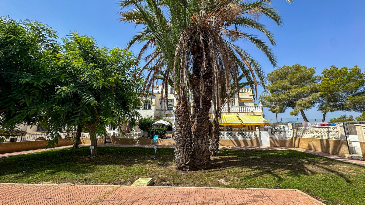 For sale - 1 Bedroom 1 Bathroom Ground floor apartment in Villamartin - Villamartin - Alicante