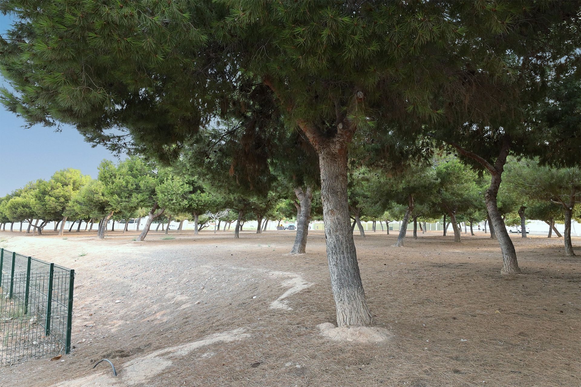 For sale - 2 Bedroom 2 Bathroom ground floor apartment in San Pedro del Pinatar - Costa Calida  - Murcia