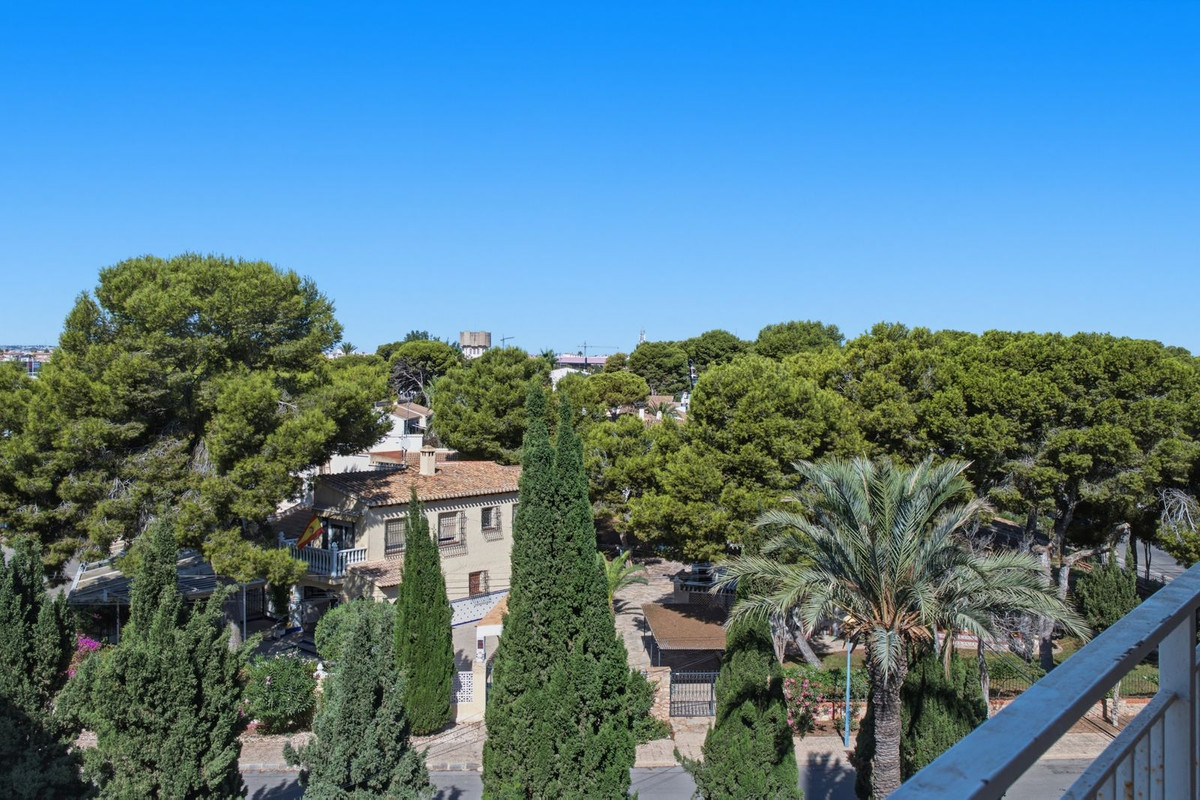 For sale - 3 Bedroom 1 Bathroom Apartment - Top Floor Apartment in Orihuela - Punta Prima  - Alicante