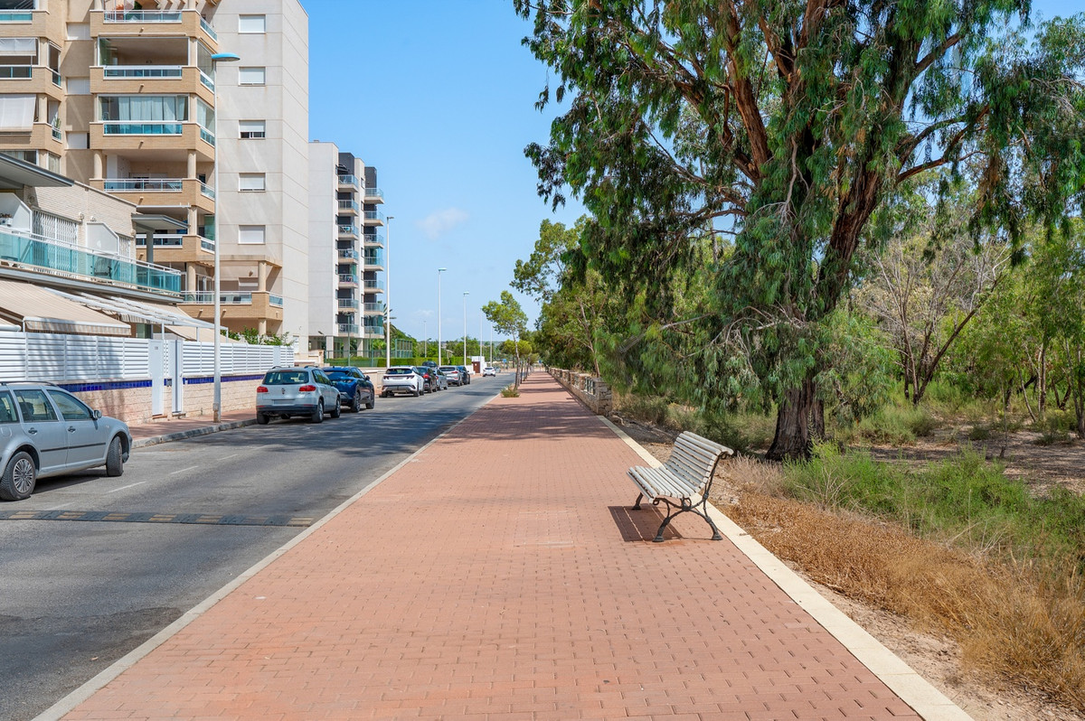For sale - 3 Bedroom 2 Bathroom Apartment - Ground Floor Apartment in Guardamar del Segura - Guardamar del Segura Centro  - Alicante