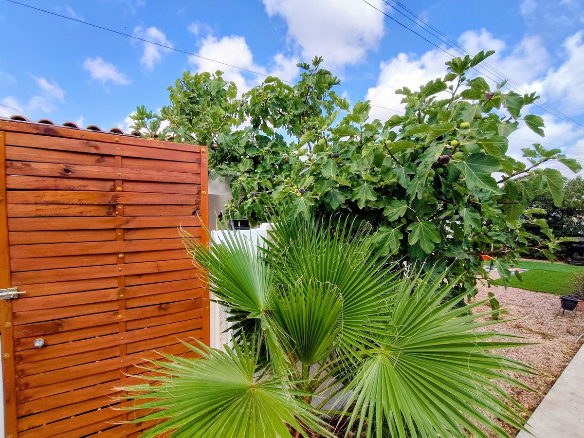For sale - 1 Bedroom 1 Bathroom House - Townhouse in Torrevieja - Torrevieja Centro  - Alicante