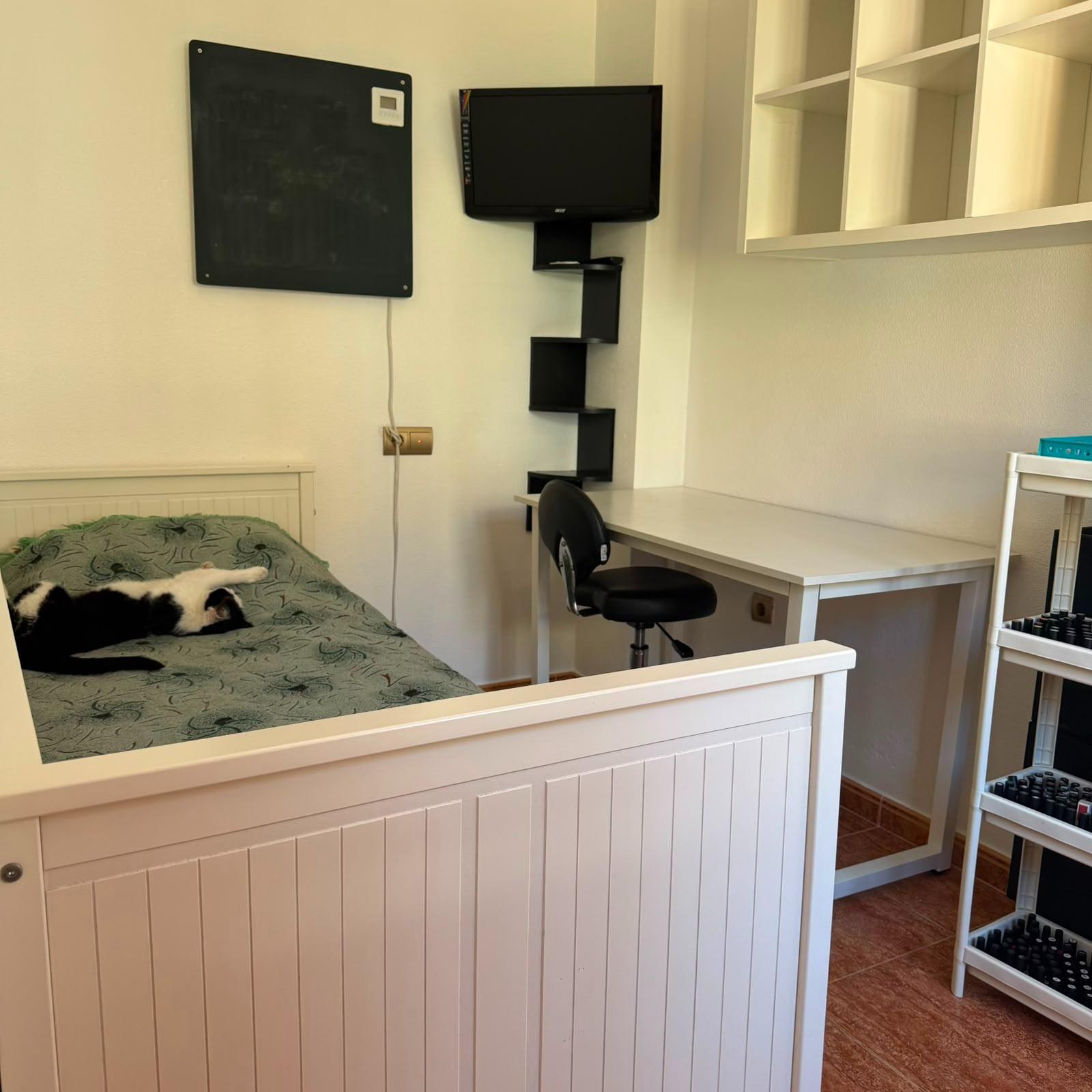 For sale - 3 Bedroom 1 Bathroom Bungalow in Torrevieja - La Mata  - Alicante