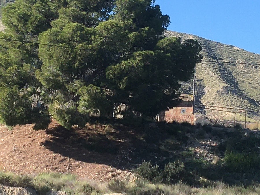 For sale - Land in Abanilla - , Abanilla, Murcia, Spain - Murcia