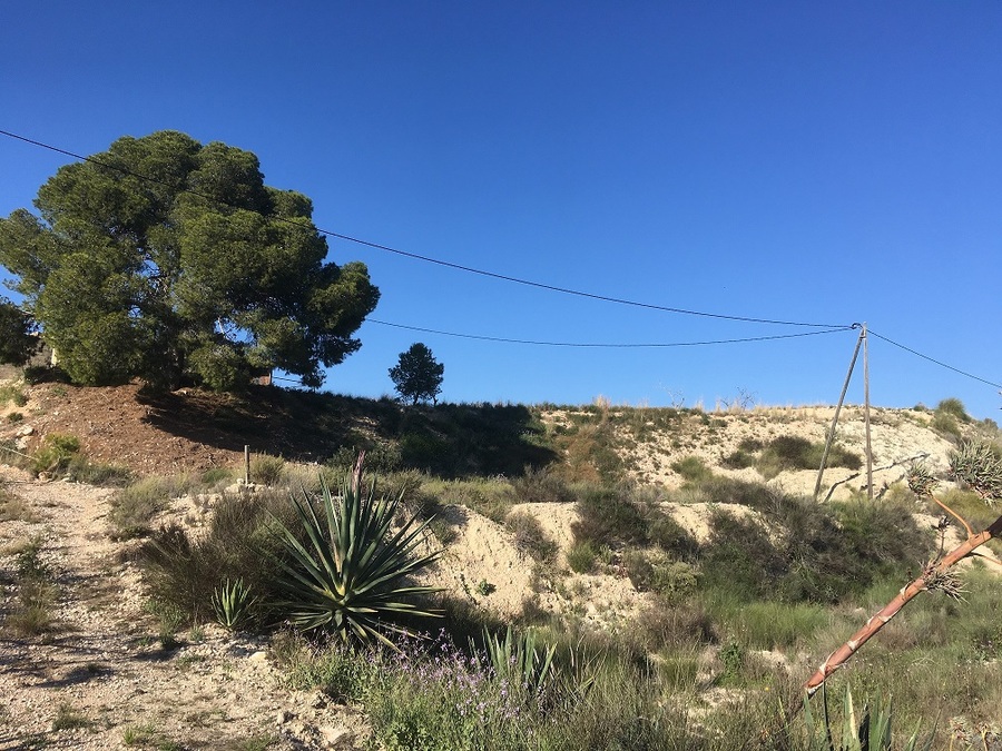 For sale - Land in Abanilla - , Abanilla, Murcia, Spain - Murcia