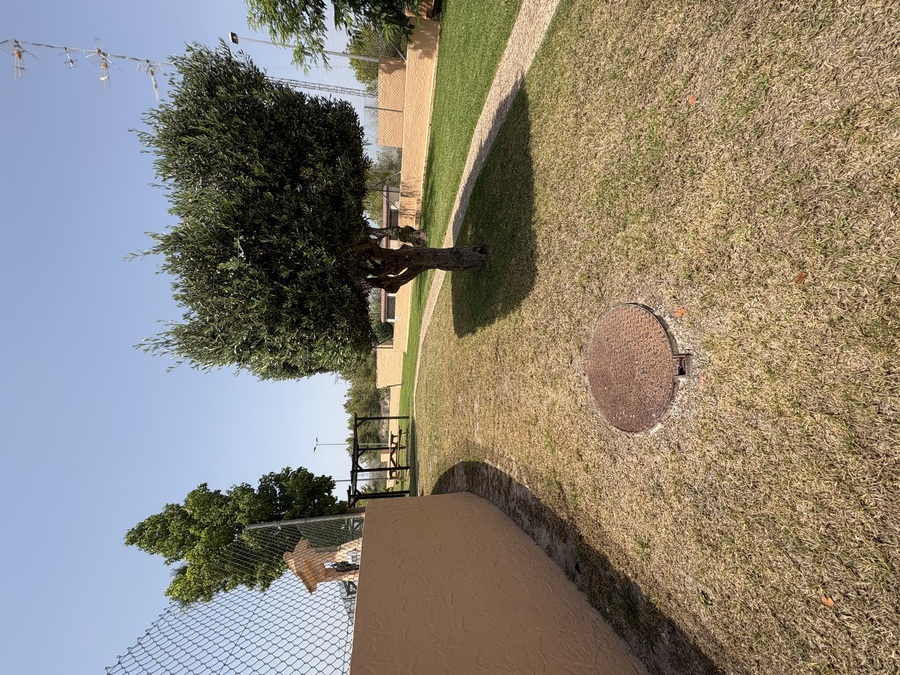 For sale - 3 Bedroom 2 Bathroom Townhouse in Villamartin - , Villamartin, Alicante, Spain - Alicante